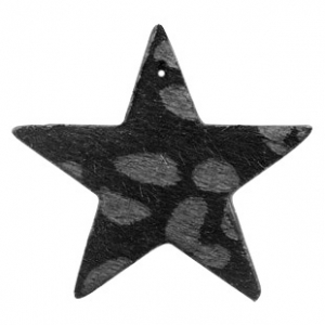 Sternleoschwarz