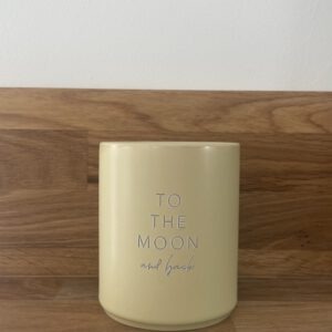 TO THE MOON and back